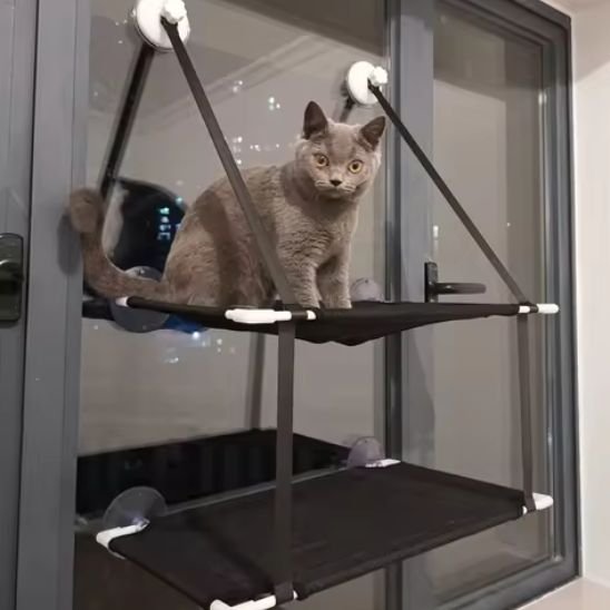 Hamac Chat Fenetre | Le Grand Observateur™ - Le Sommeil du Chat
