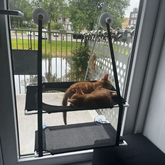 Hamac pour Chat Fenetre | Le Vue sur le Monde™ - Le Sommeil du Chat