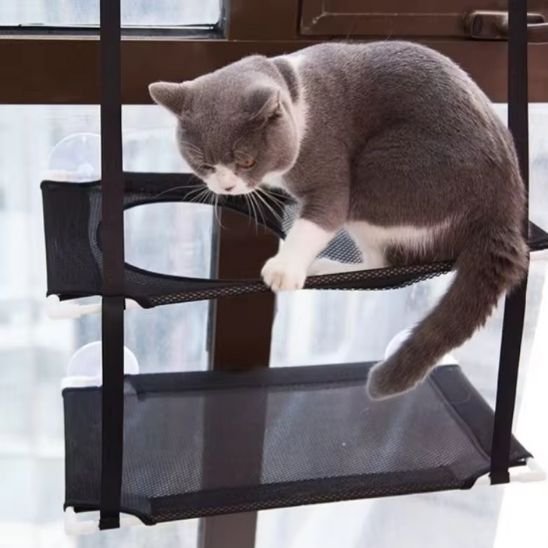 Hamac pour Chat Fenetre | Le Vue sur le Mondeâą - Le Sommeil du Chat