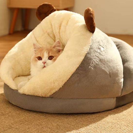 Chat Niche oreilles de chevreuil