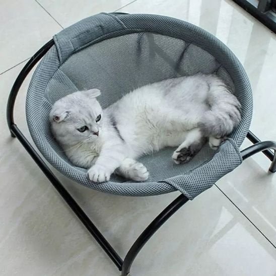 Hamac à Chat siamois