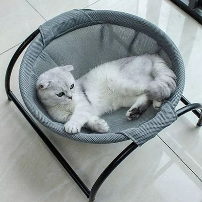 Hamac à Chat siamois