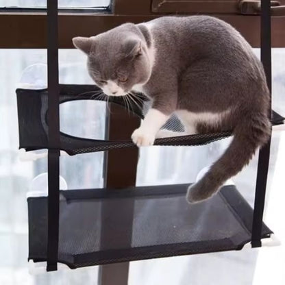 Hamac Chat Fenetre chat-joueur