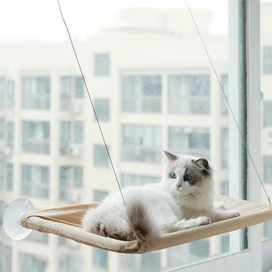 hamac chat fenetre le suspendu