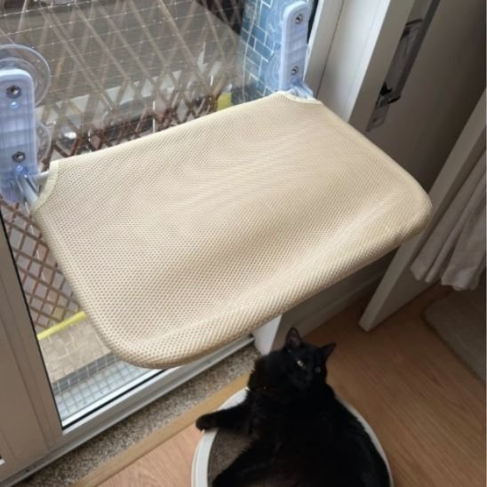 Hamac Chat Fenetre polyester