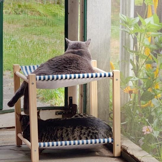 Hamac Chat | Le Balancier™ - Le Sommeil du Chat