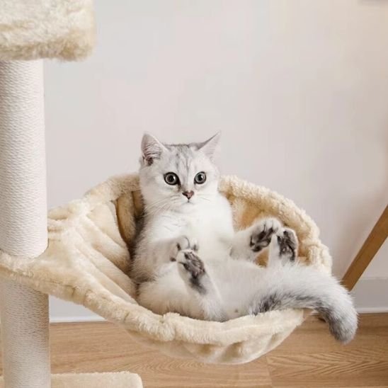 Hamac Chat | Le ChatBulle™ - Le Sommeil du Chat