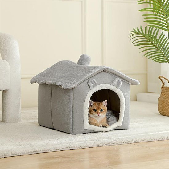 Maison Chat coton