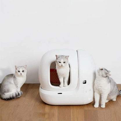 Maison de Toilette pour Chat prix