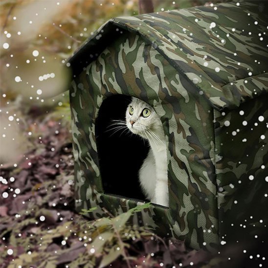 maison-exterieur-pour-chat-tempete-hivernal