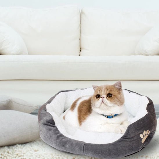 Panier Chat | La Majesté Féline™ - Le Sommeil du Chat