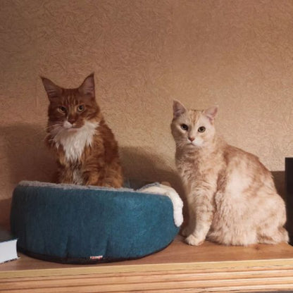 Panier pour Chat chat orange