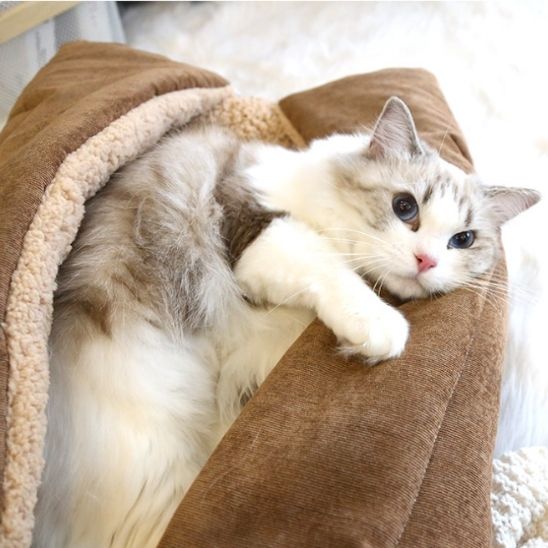 Panier pour Chat | Le Ronron Lodge™ - Le Sommeil du Chat